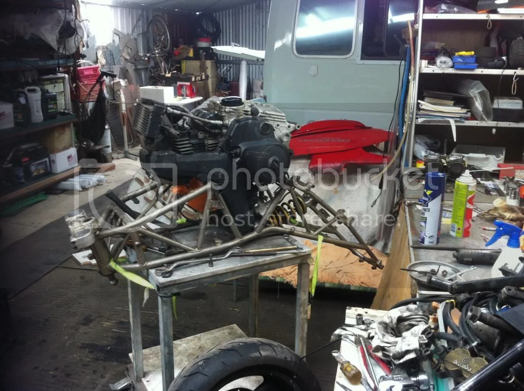 Red, Green n White...