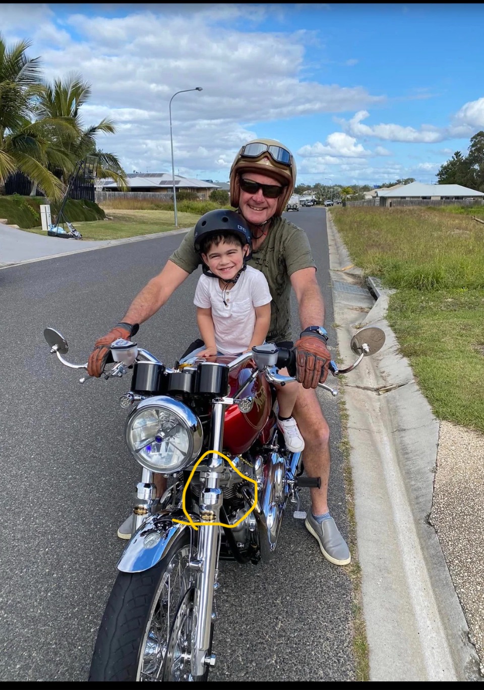 How many of the flood of nue bees are  really Ae Eye fonies?