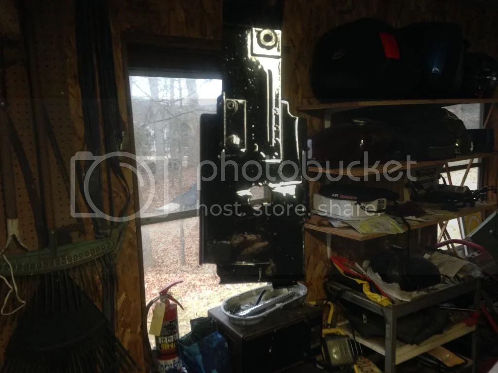 Another winter resurrection