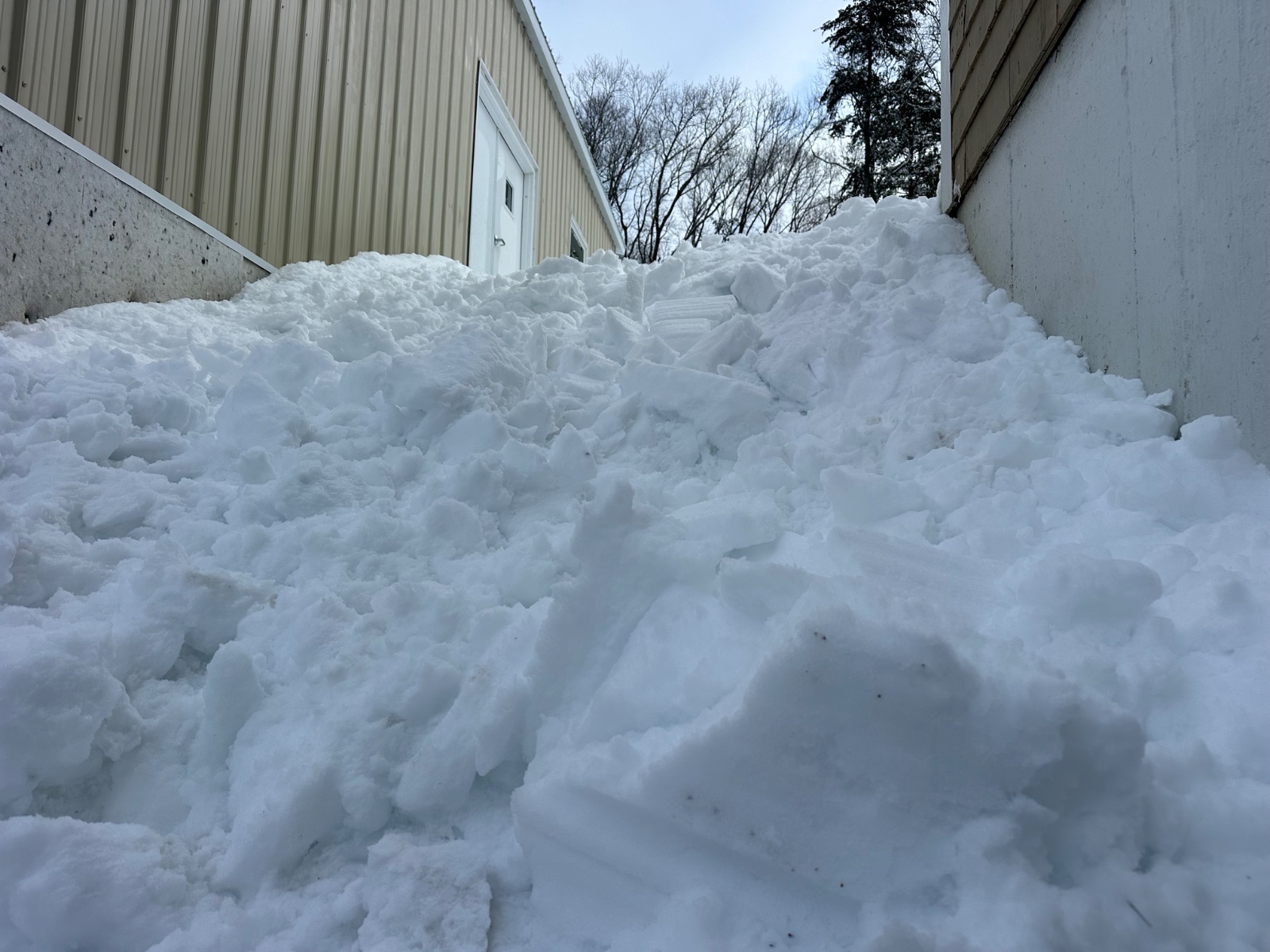 Fern Winter storm 2026 (aka "Stahmageddon")