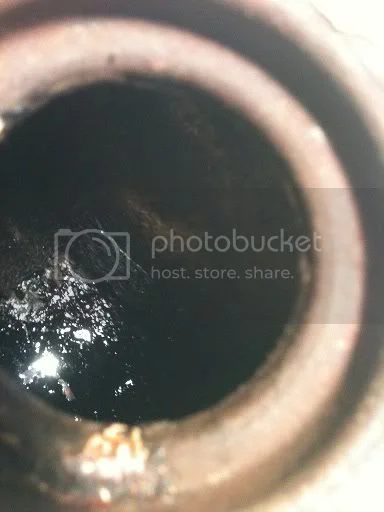 New to Norton & Forum...>