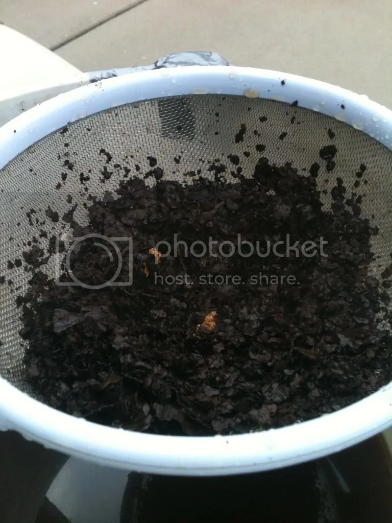 New to Norton & Forum...>