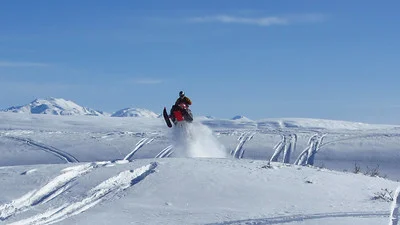 Don't touch that oil filter Eugene