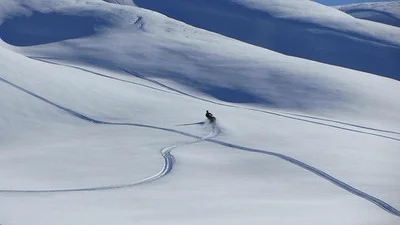 Don't touch that oil filter Eugene