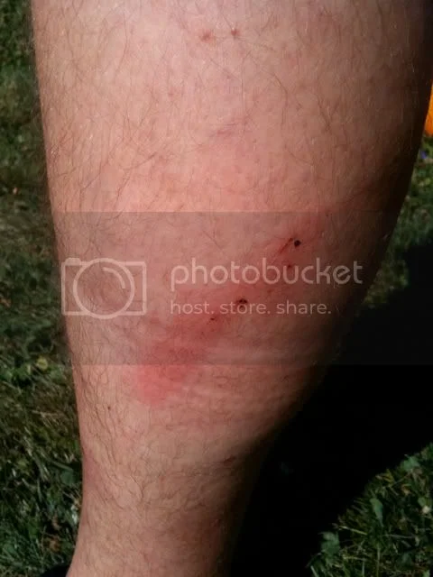 It'll start first kick, right?