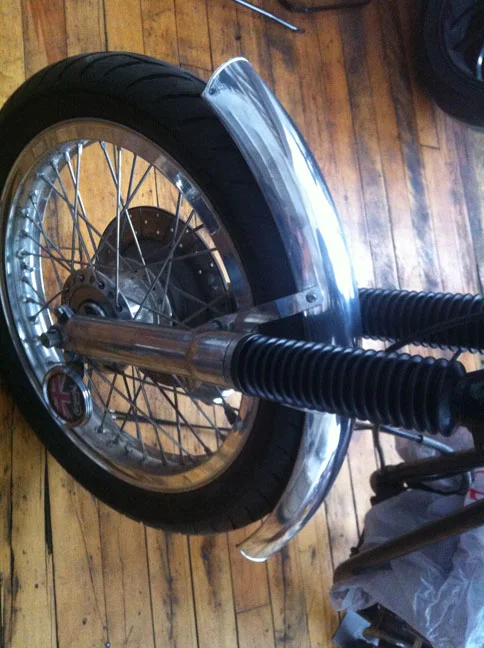 lola gets a freshening up...