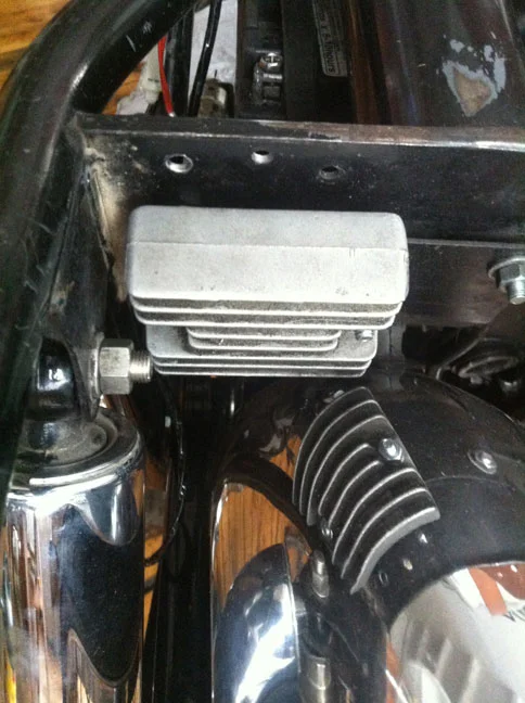 lola gets a freshening up...