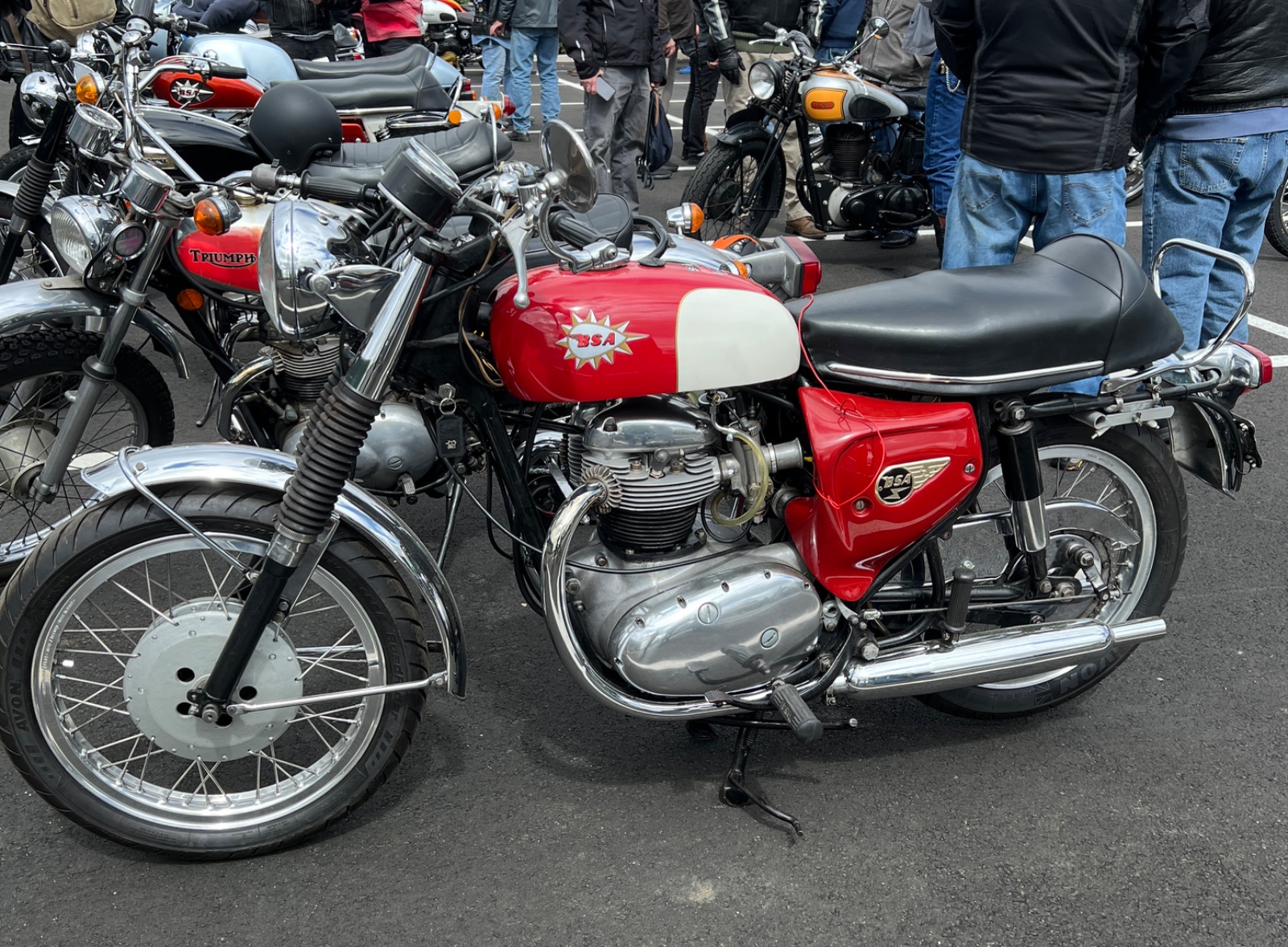 Gathering of the Nortons 2025