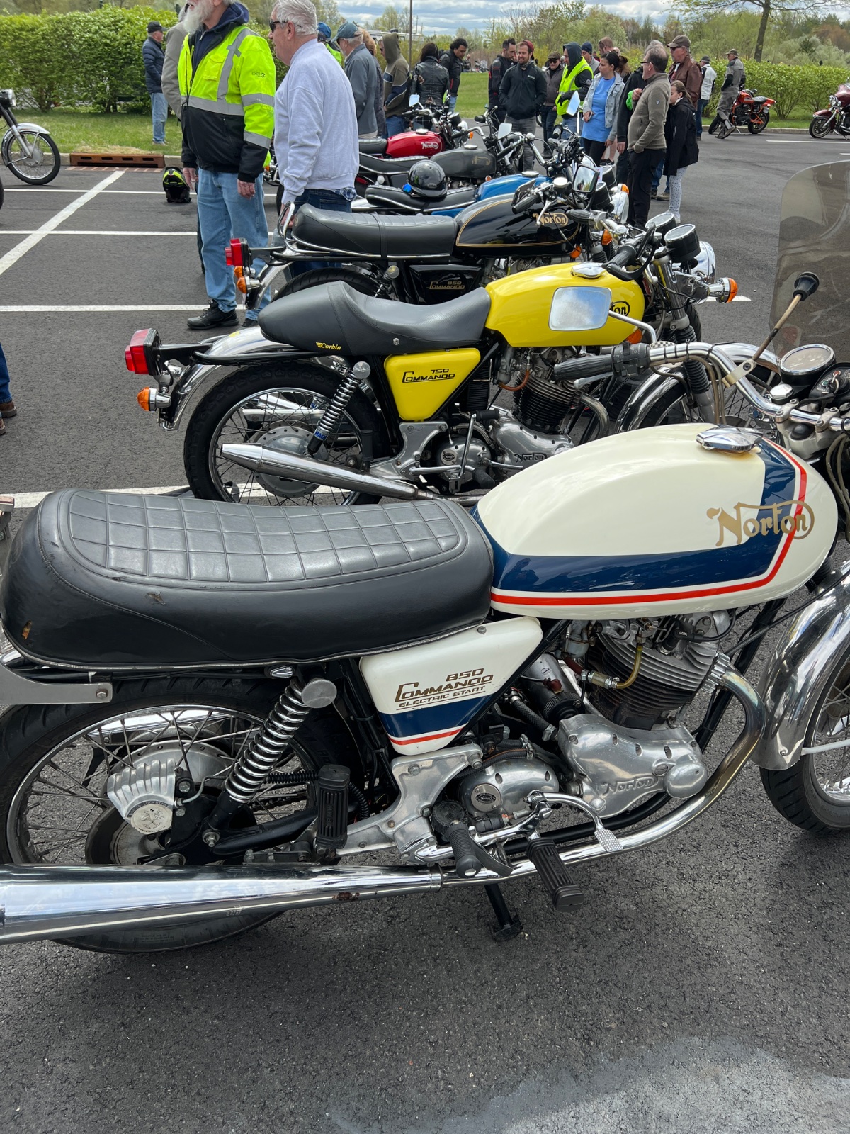 Gathering of the Nortons 2025