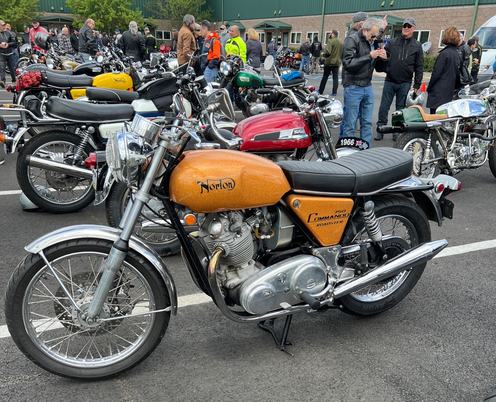 Gathering of the Nortons 2025