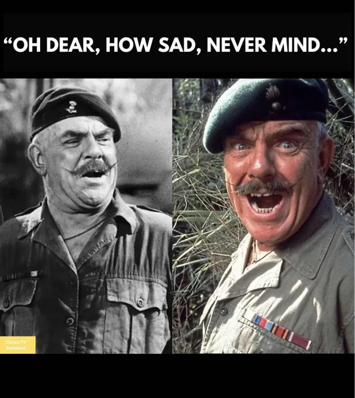 Post your jokes and humor here.