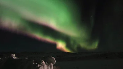 Don't touch that oil filter Eugene