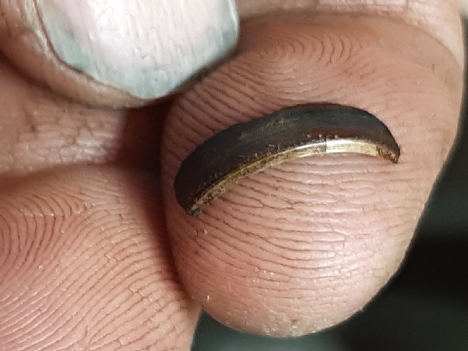 1972 750 Interstate Resurrection