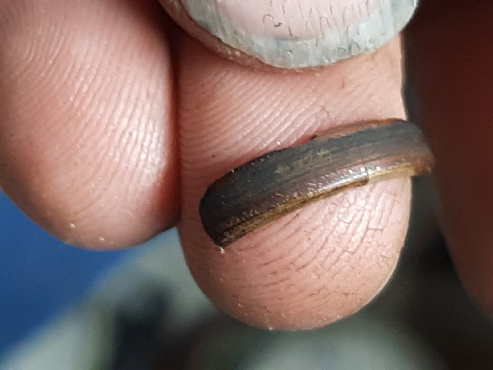 1972 750 Interstate Resurrection