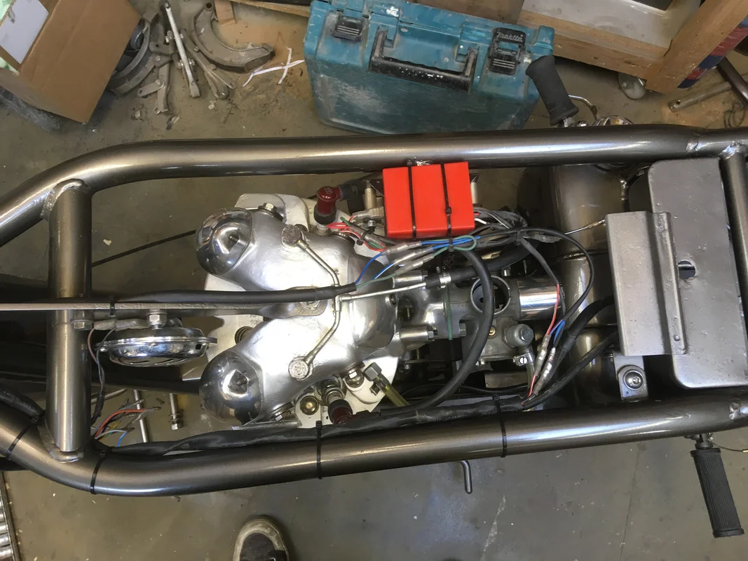 Dominator Head steady photo