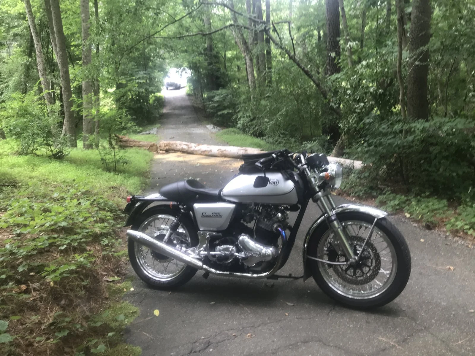 What Did You Do With Your Commando Today?