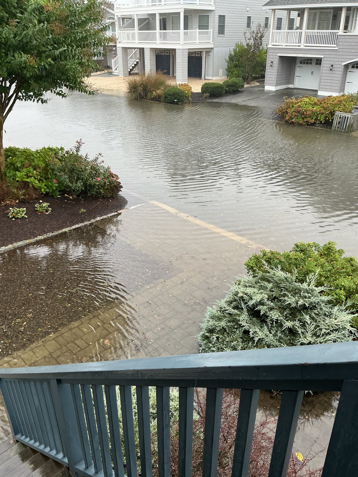 What Did You Do With Your Commando Today?