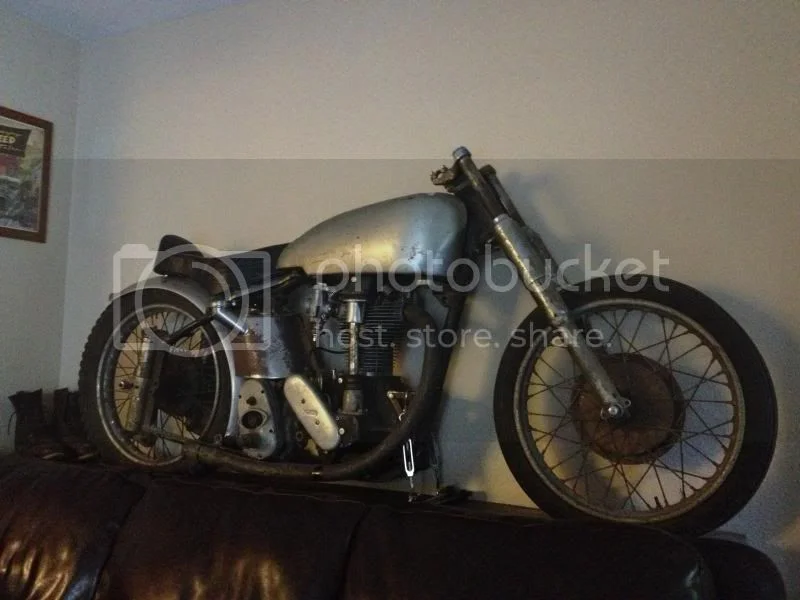 New Member w/Gardengate Nortons