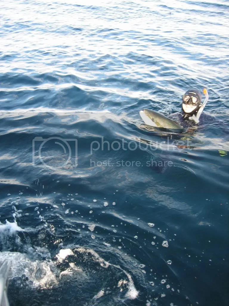 New Zealand Based 1973 850 Roadster