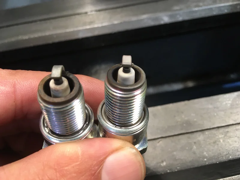 Looking for a photo...