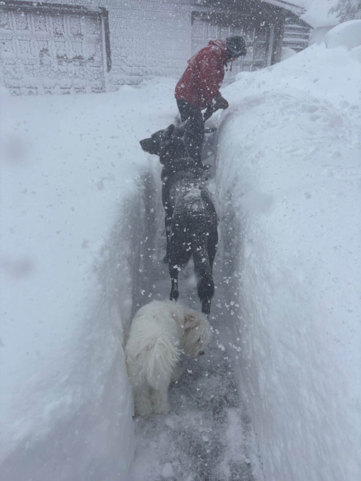 Fern Winter storm 2026 (aka "Stahmageddon")
