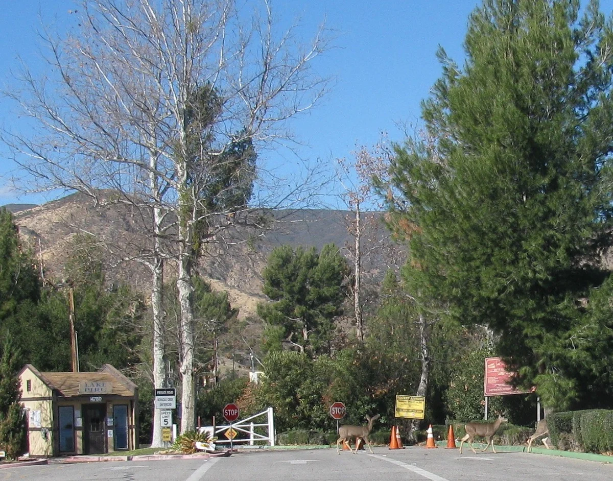 Cold 79th Birthday Ride