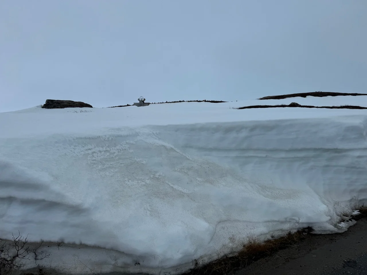 Northern Lights tonight.