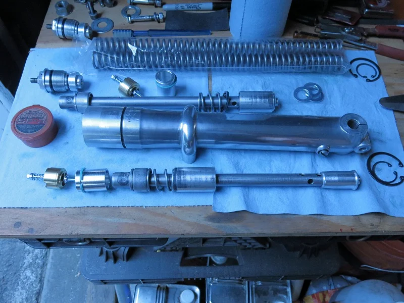 Race Tech Gold Valves in Betor forks