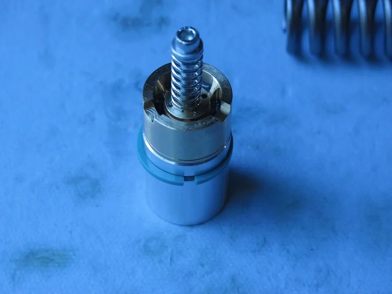 Race Tech Gold Valves in Betor forks