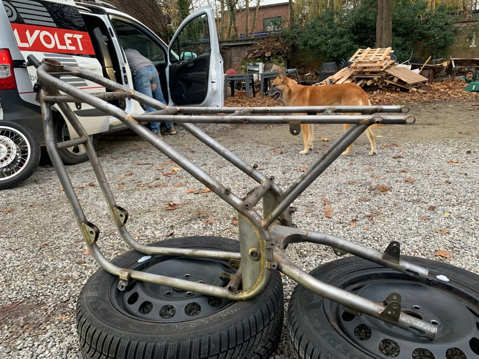 Striping Sunburst - 2