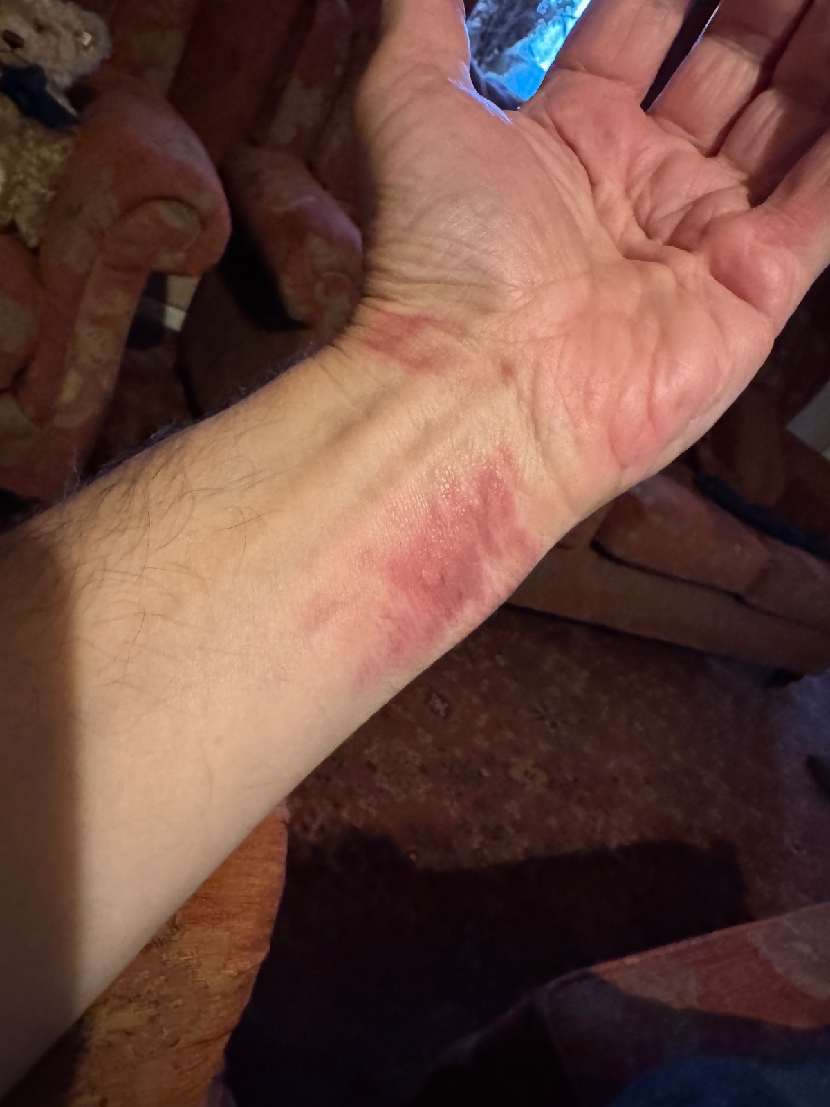 What Did You Do With Your Commando Today?