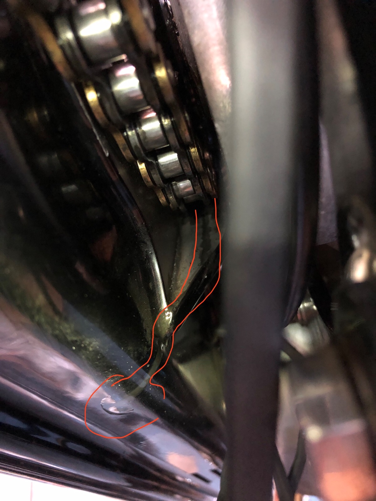 What Did You Do With Your Commando Today?