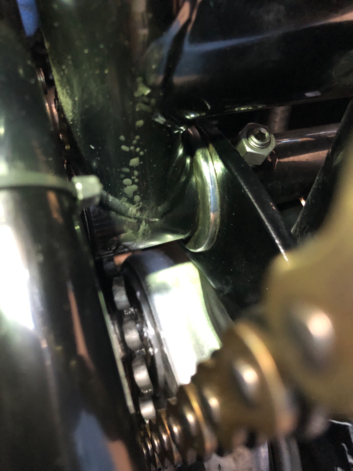 What Did You Do With Your Commando Today?