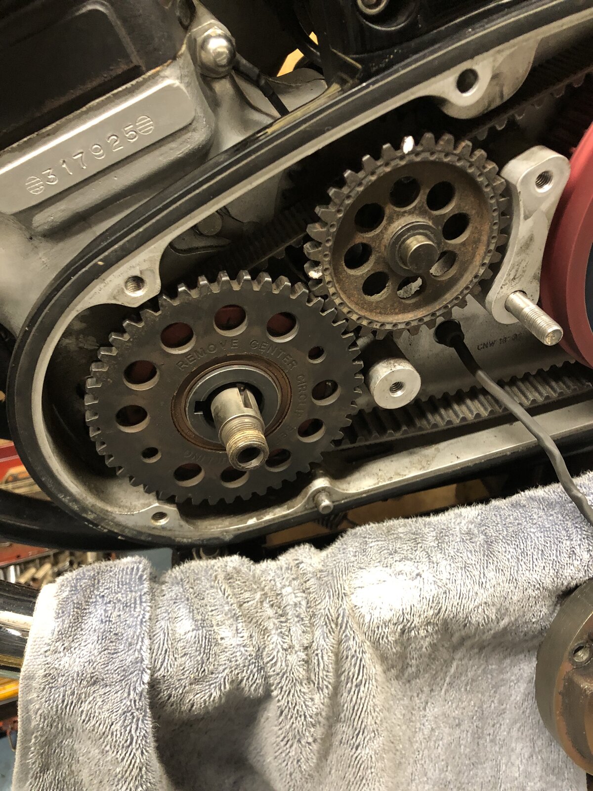 What Did You Do With Your Commando Today?