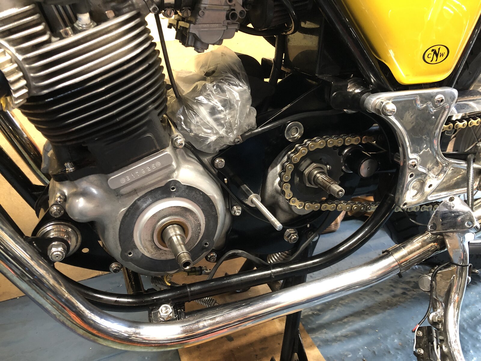 What Did You Do With Your Commando Today?