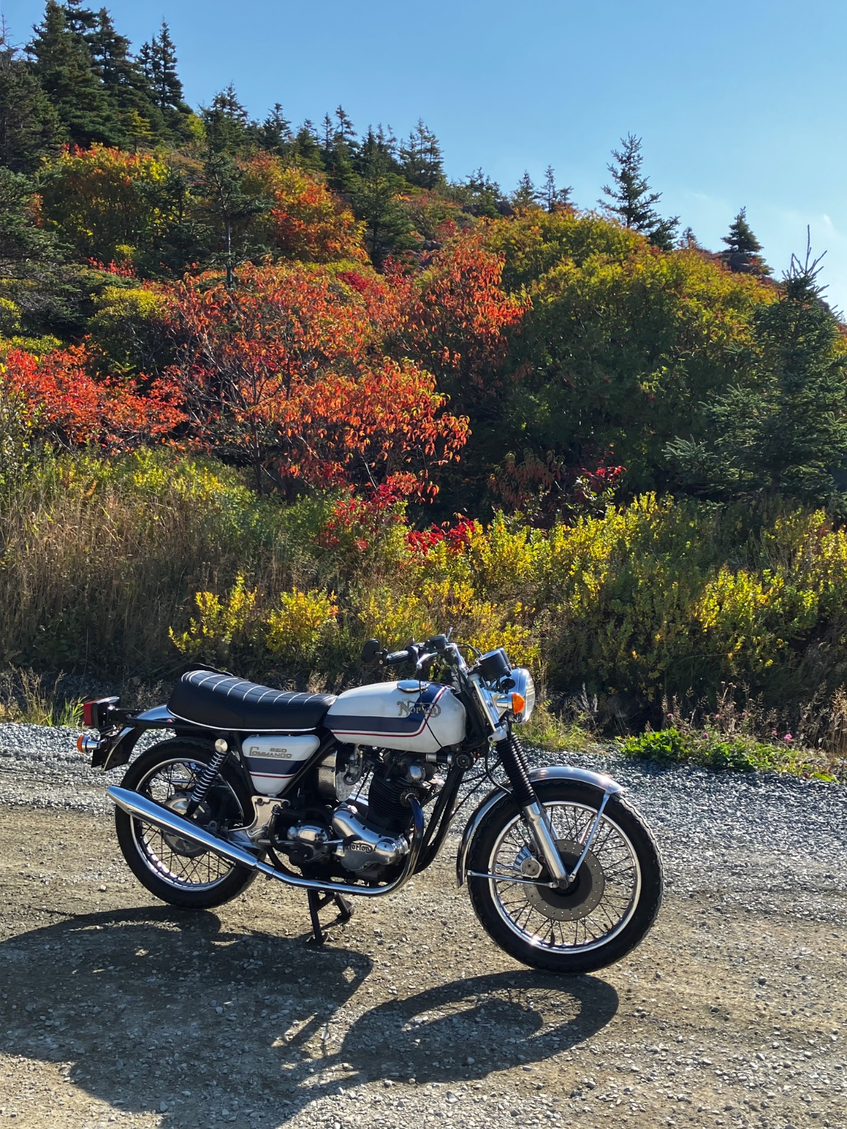 What Did You Do With Your Commando Today?