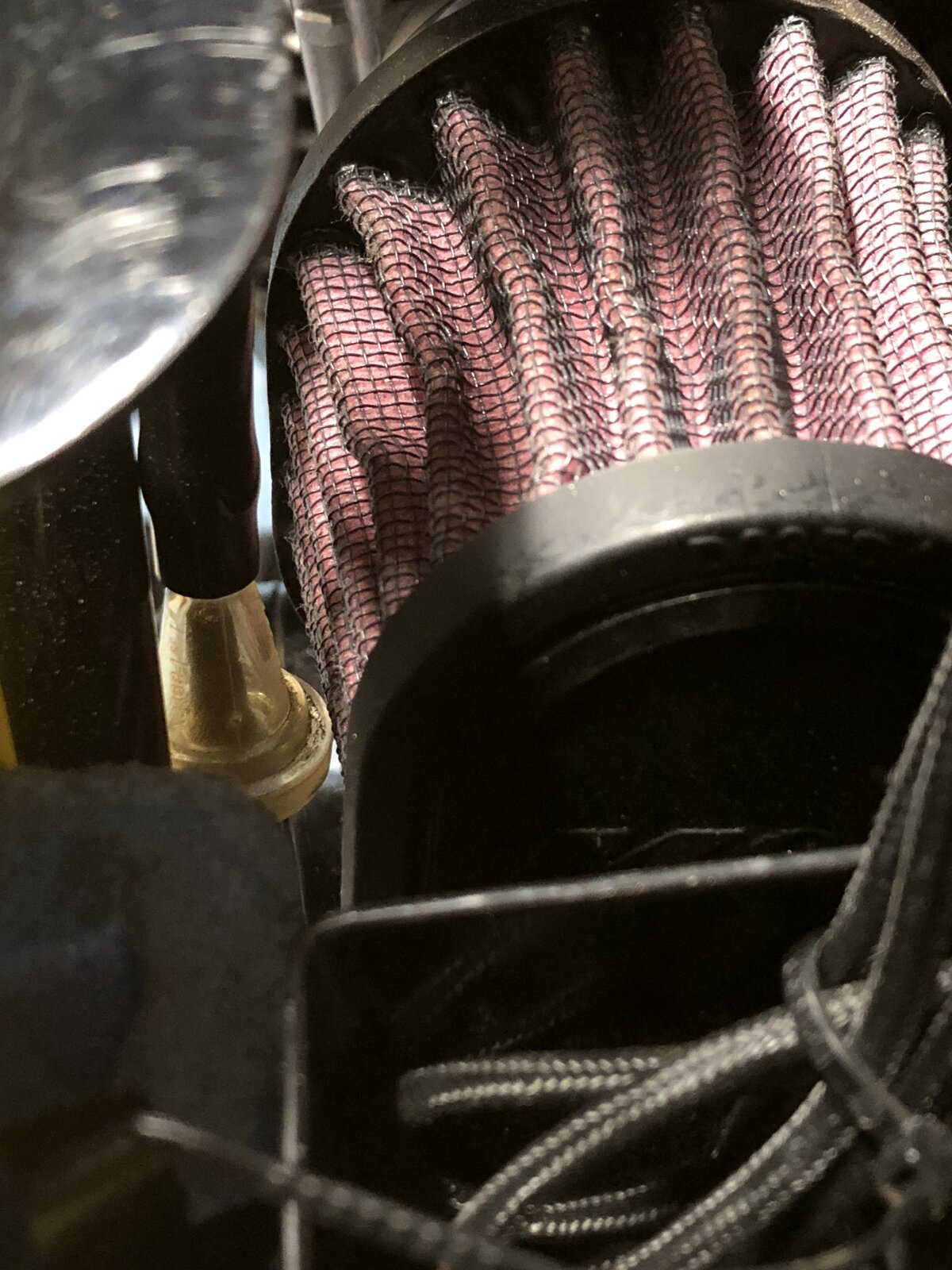 What Did You Do With Your Commando Today?