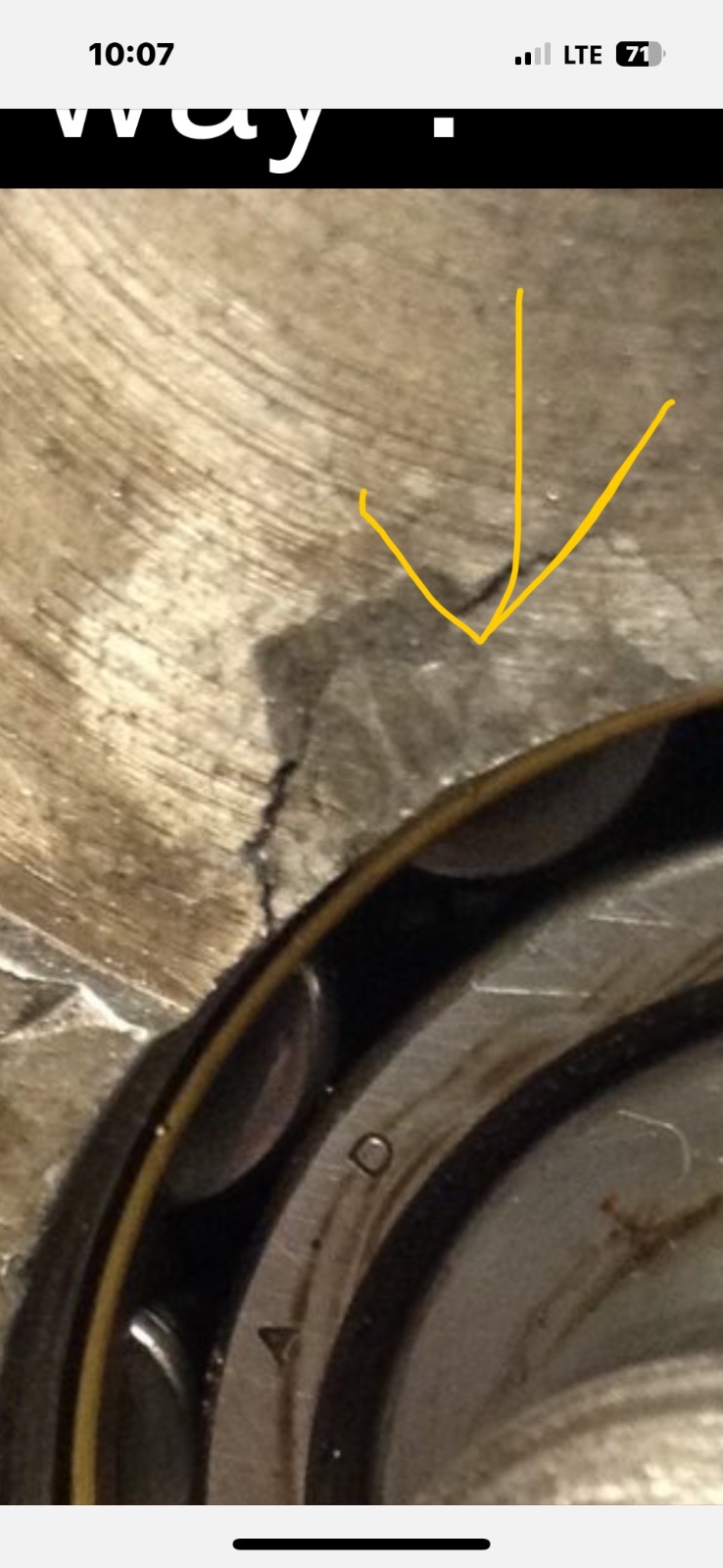 Nonsense Found Building Bikes