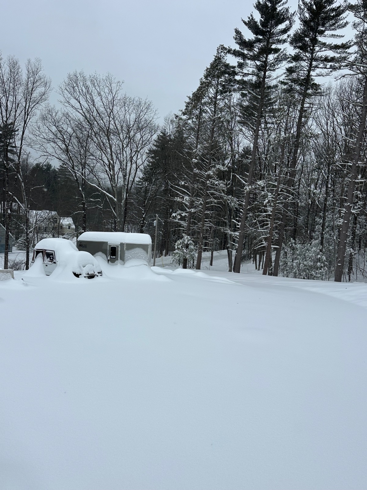 Fern Winter storm 2026 (aka "Stahmageddon")
