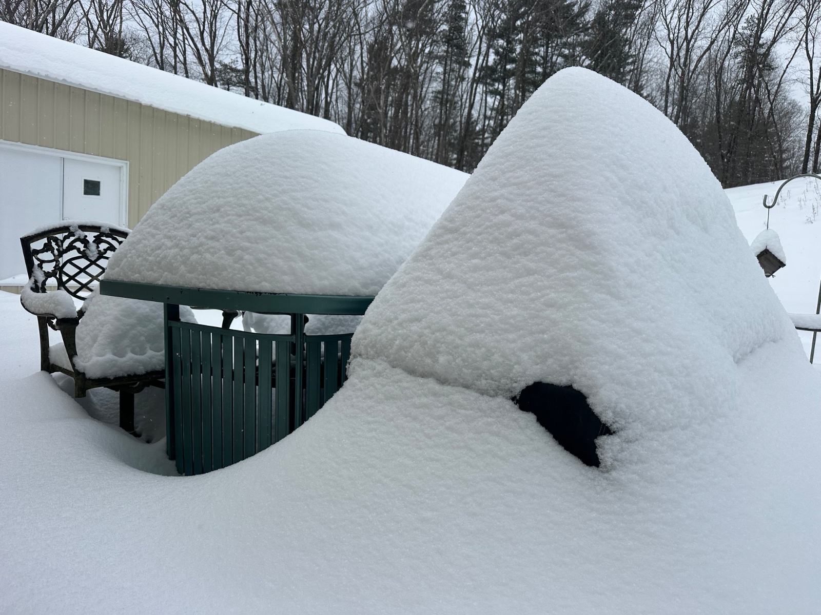 Fern Winter storm 2026 (aka "Stahmageddon")