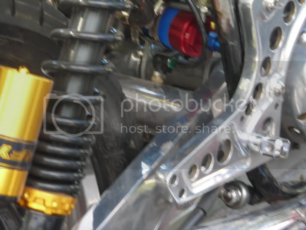 Rear Shock Absorbers