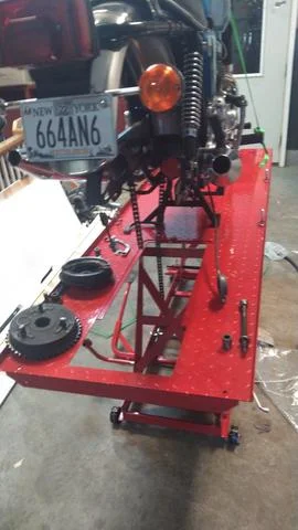 Time for Trixie to Go Under the knife