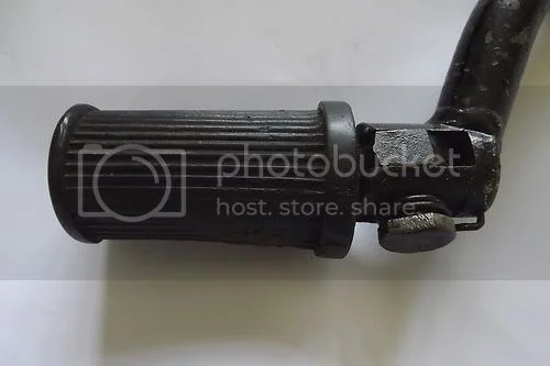 New Member w/Gardengate Nortons