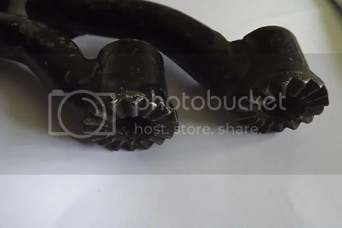 New Member w/Gardengate Nortons