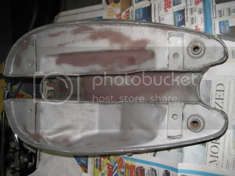 New Member w/Gardengate Nortons