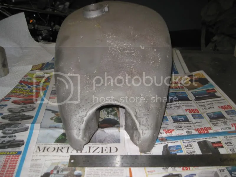 New Member w/Gardengate Nortons