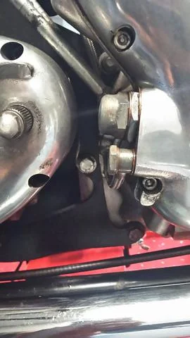 Time for Trixie to Go Under the knife