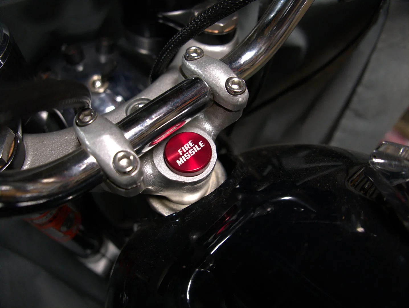 L1170566 (Large).jpeg