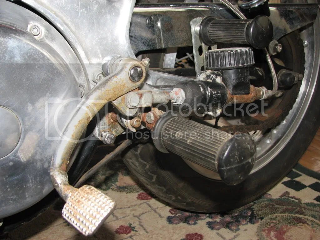 Another winter resurrection