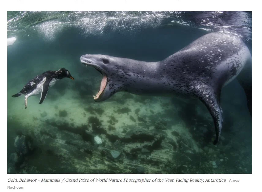 Post your jokes and humor here.